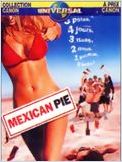 Mexican pie