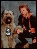 Top Dog en streaming
