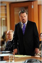 The Good Wife