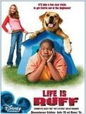 Calvin et Tyco (Life is Ruff ) Calvin et Tyco (Life is Ruff )