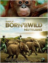 Born to Be Wild FRENCH BDRIP AC3 2011