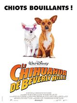 Télécharger : Le Chihuahua de Beverly Hills