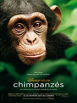 Télécharger : Chimpanzés