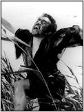 Onibaba