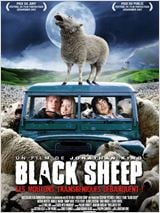   HD movie streaming  Black sheep