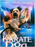   HD movie streaming  Karaté Dog