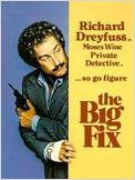 The Big Fix