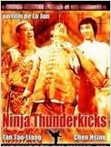 Ninjas Thunderkicks