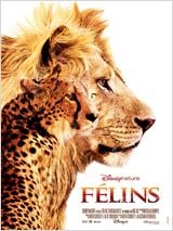   HD movie streaming  Félin, le royaume du courage
