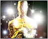 Oscars 2008 : les nominations en images