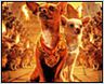 Fans de chihuahuas ?