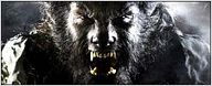 Un reboot pour "Wolfman" ?