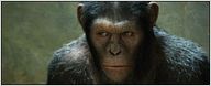 Box-office US : les singes au pouvoir !