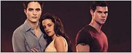 1ères séances : la logique "Twilight 4 : 1ère partie"