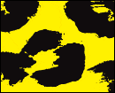 Coup d'envoi de Locarno 2002