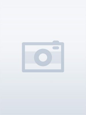 One Piece - Film 7 : Le soldat mecanique geant du chateau Karakuri [FRENCH DVDRiP] | Multi Liens