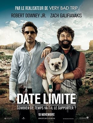 Date limite | BDRIP | 2010