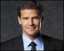 Une+petite+fille+pour+David+Boreanaz