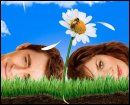 Rencontre+avec+le+cr%c3%a9ateur+de+%22Pushing+Daisies%22