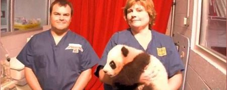 Jack+Black+%c3%a0+la+rencontre+de+Po+le+panda+!