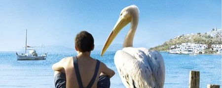 Nicostratos%2c+un+p%c3%a9lican+en+avant-premi%c3%a8re+ce+19+juin Nicostratos%2c+un+p%c3%a9lican+en+avant-premi%c3%a8re+ce+19+juin