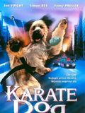 Karaté Dog Icon