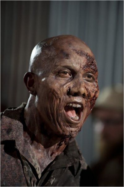 The Walking Dead : photo Hines Ward