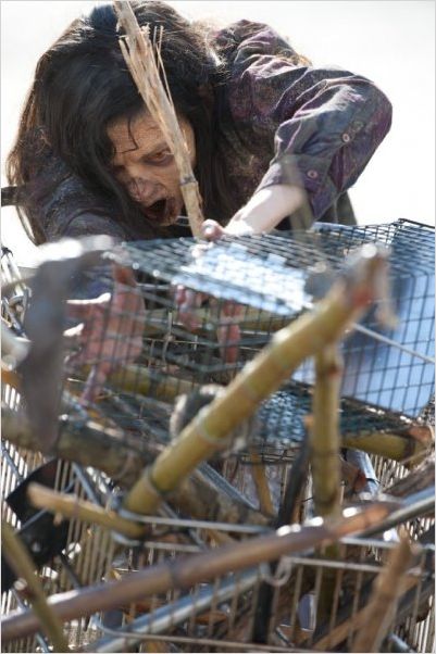 The Walking Dead : photo