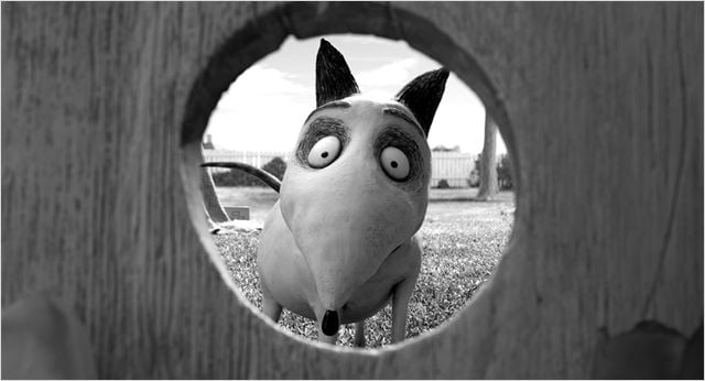 Frankenweenie : Photo Tim Burton