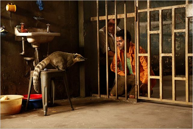 Sur la piste du Marsupilami : photo Alain Chabat, Jamel Debbouze