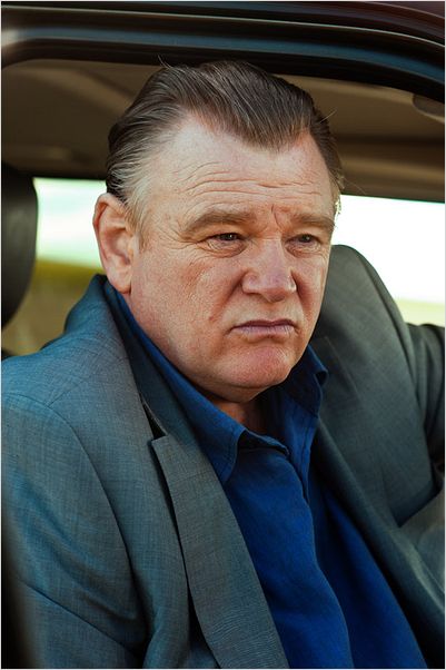 Sécurité rapprochée : photo Brendan Gleeson, Daniel Espinosa