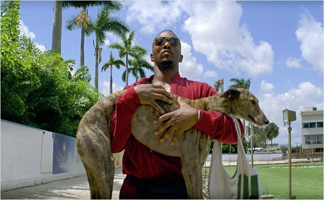 No Pain No Gain : Photo Anthony Mackie