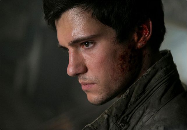 Photo Drew Roy