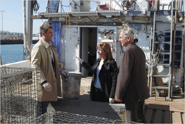 Photo Diane Neal, Mark Harmon, Michael Weatherly