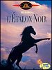 L’Etalon noir en streaming gratuit