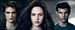 Un Guide Officiel pas comme les autres pour "Twilight"