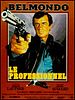 Le Professionnel