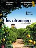 Photo : Les Citronniers