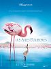 Les Ailes pourpres : le mystère des flamants