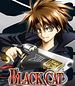 Photo : Black Cat