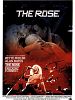 The Rose