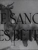 Photo : Le Sang des bêtes