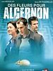 Des fleurs pour Algernon (TV)