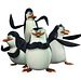 Photo : Les Pingouins de Madagascar