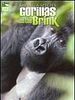 Saving a Species : Gorillas on the Brink (TV)