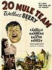20 Mule Team