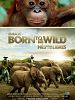 Born to Be Wild