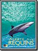 Alerte aux requins