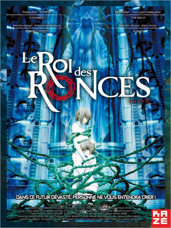 Le Roi Des Ronces 2011 FRENCH DVDRiP XViD-FiCTiON preview 0