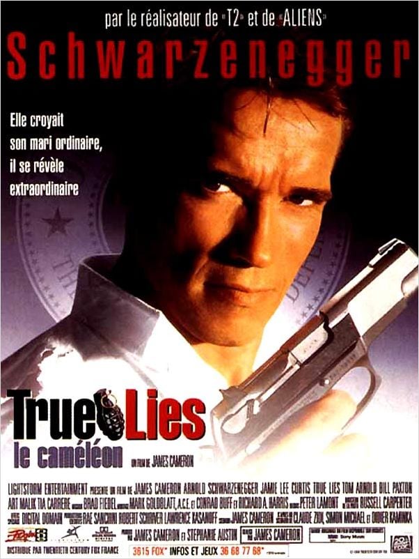 True Lies | DVDRiP | MULTI | FRENCH True Lies | DVDRiP | MULTI | FRENCH